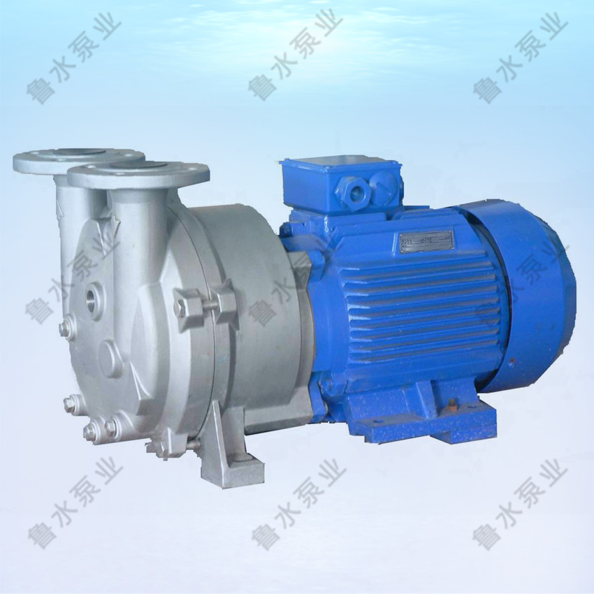 2BV水環(huán)式真空泵(bèng)