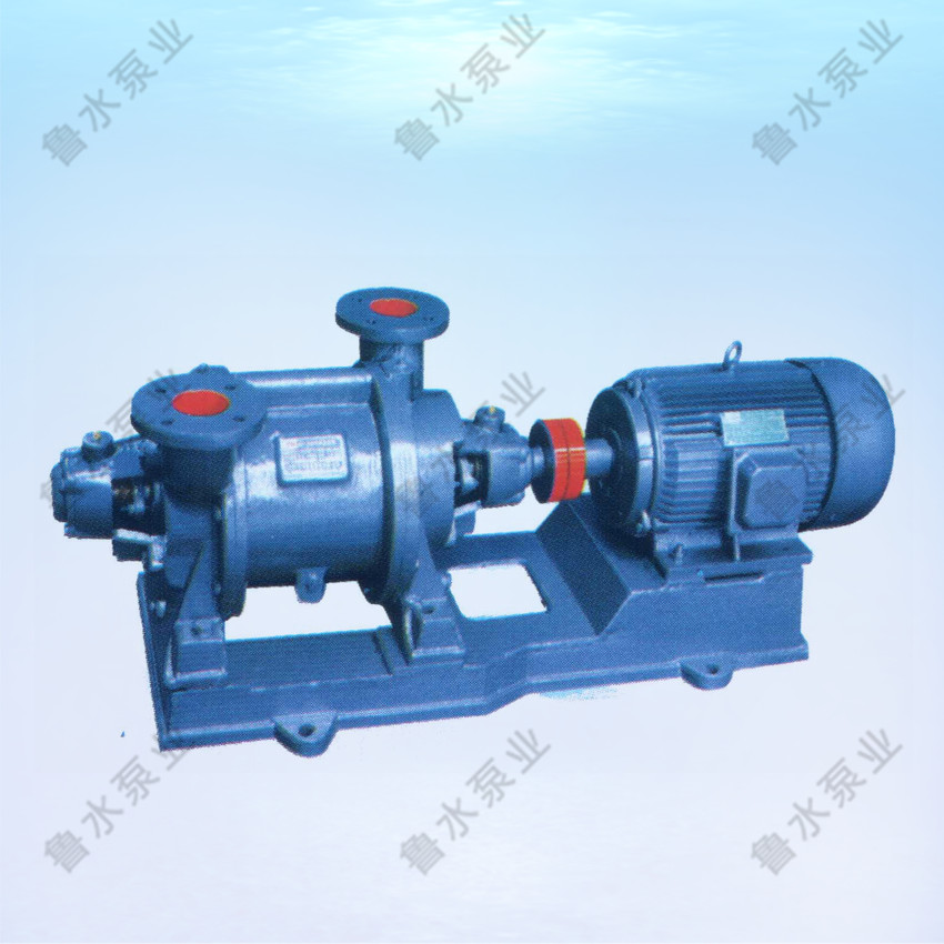 SZ系列水環(huan)式真空泵(beng)