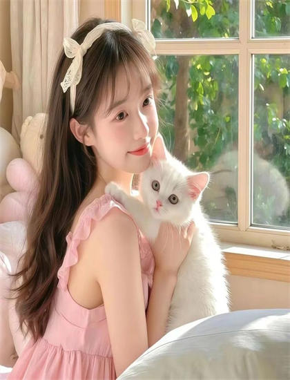 文化分析：《达拉斯南》中的政治的权力博弈与社会结构 理解文化认同的建构过程